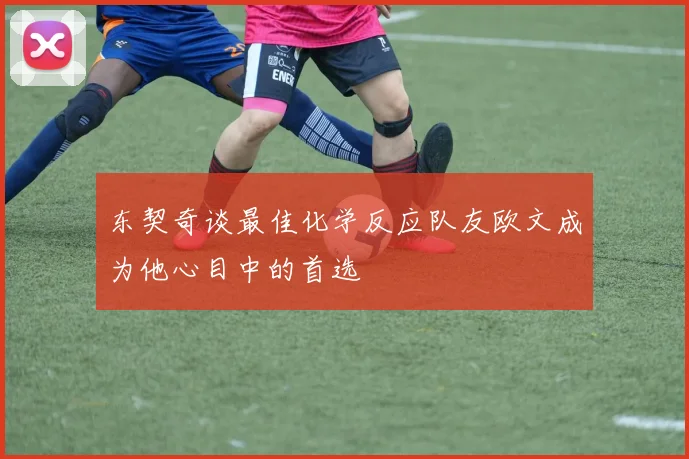 东契奇谈最佳化学反应队友欧文成为他心目中的首选