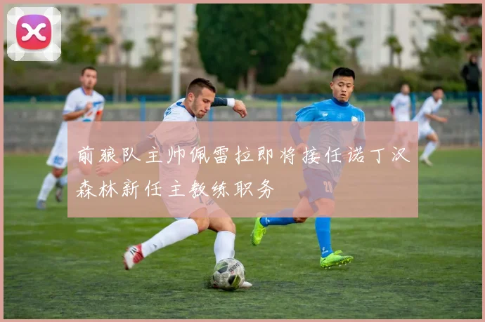 前狼队主帅佩雷拉即将接任诺丁汉森林新任主教练职务