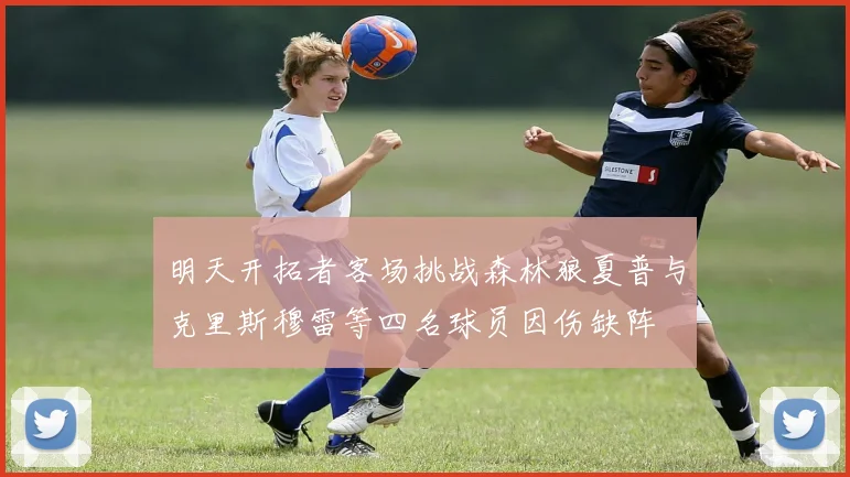 明天开拓者客场挑战森林狼夏普与克里斯穆雷等四名球员因伤缺阵