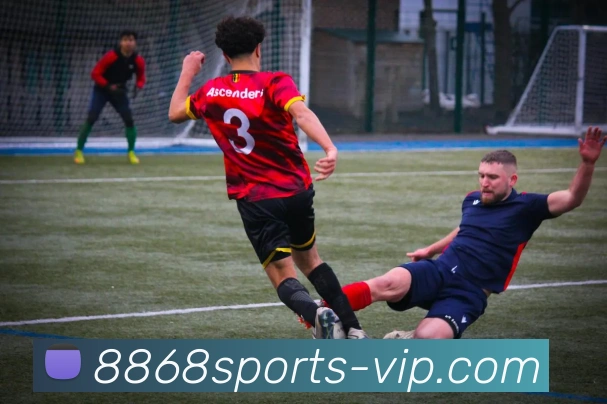 8868体育APP 封面图